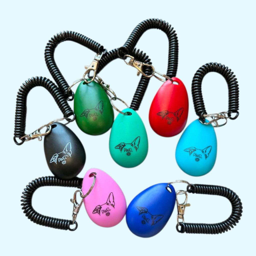 Clicker d'entraînement