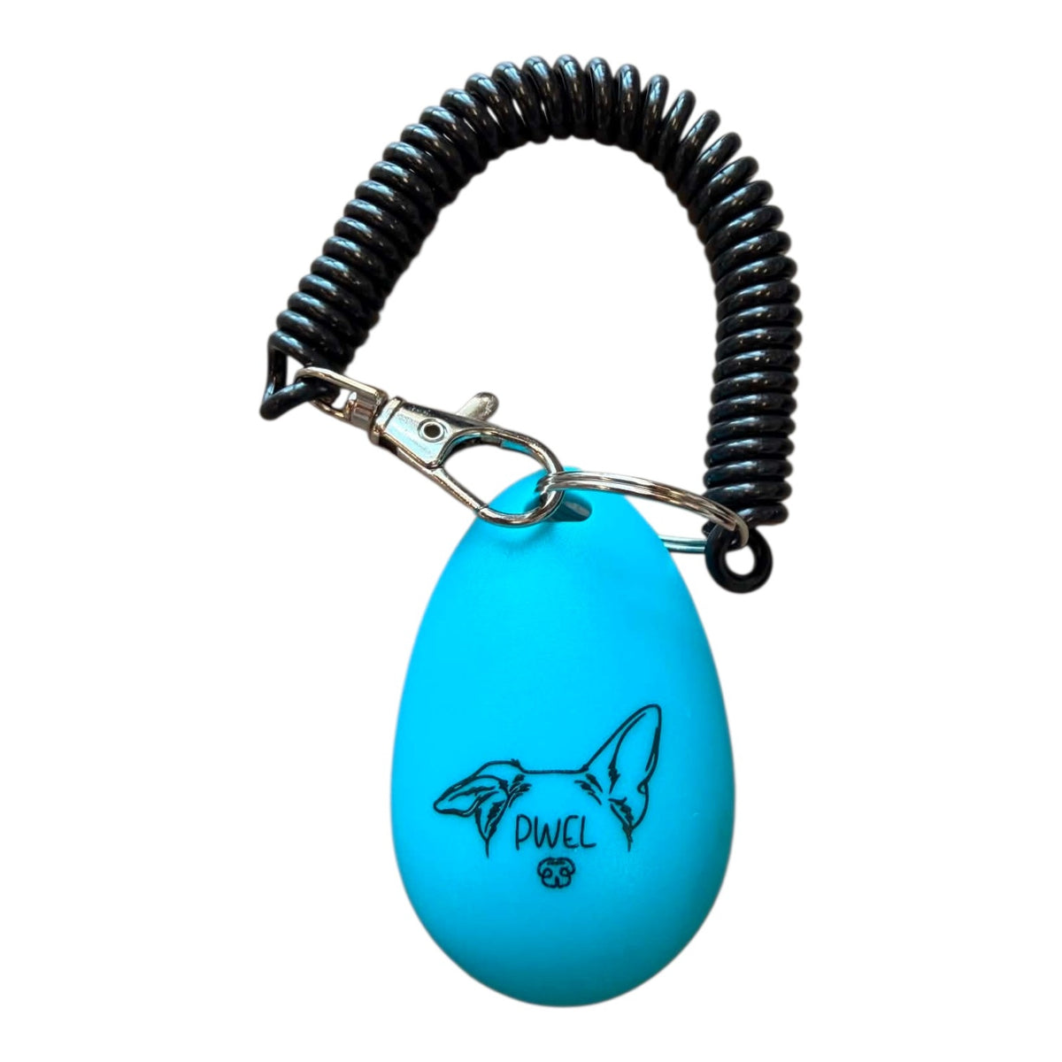 Clicker d'entraînement