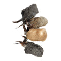 Jouet pour chat et chiens Poils et Plumes