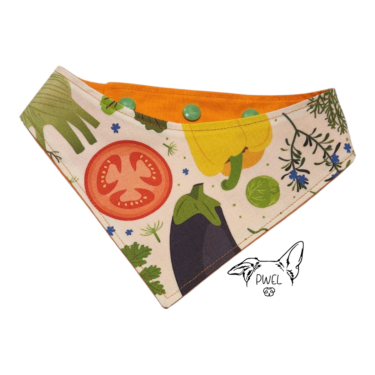 Foulards pour chiens et chats Collection 2026